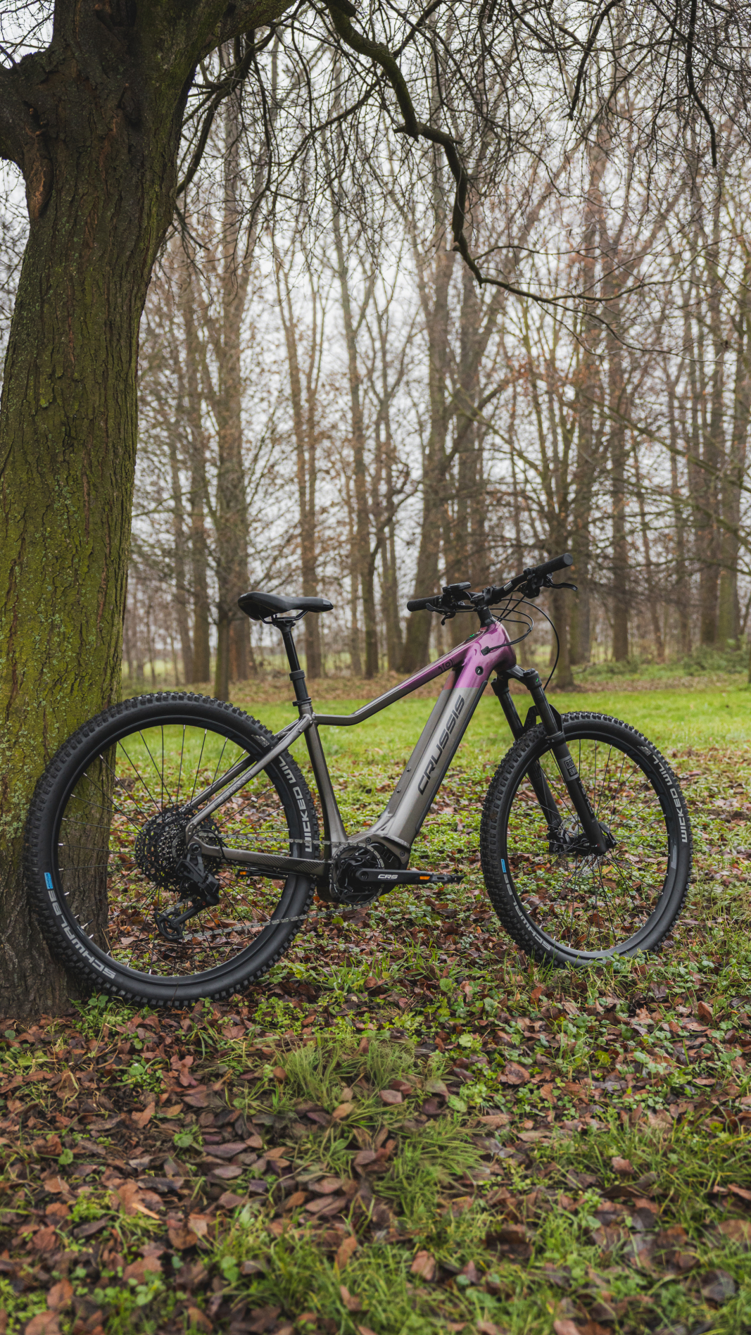 fahrrad kaufen schwarz bonvelo BLIZZ – Singlespeed wholesale EU Rahmen:Chromoly-Stahl Blau Kcgani Notenordner, 4 Seiten