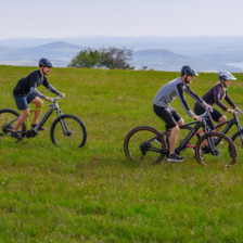 E-Bikes fr Erwachsene