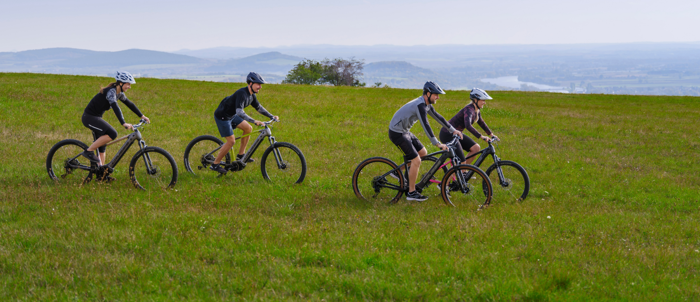E-Bikes fr Erwachsene