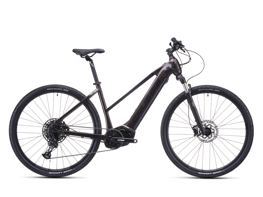 fahrradanhänger ohne federung 10202NS ｜ 2-in-1 Haustier-Fahrradanhänger & Jogger Accessories:Rack+Mirror+Pannier (+ $513.95) Gazelle,Plus,display ,tacho,bedienelement,bedieneinheit,e-rad,innergy verborgen